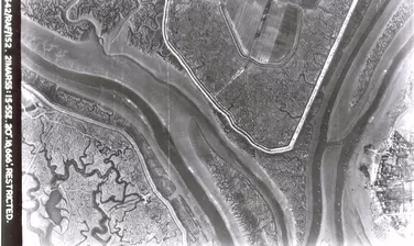 ZSL | Tidal Thames Project